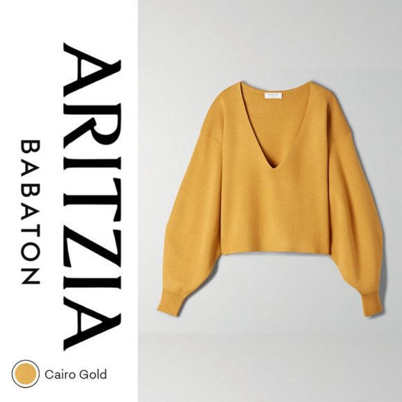 Aritzia Sweaters - Aritzia Babaton Wren Cropped V-neck Sweater